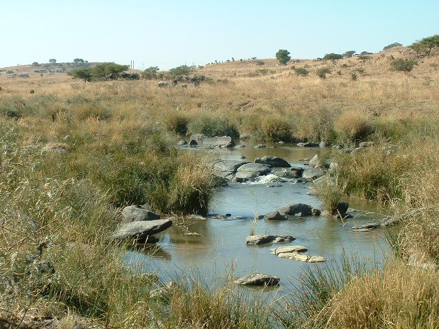 Figure 3.6 The Klip River in Sub-catchment-I.